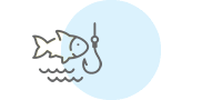 Hinchinbrook Barramundi Fishing Charter